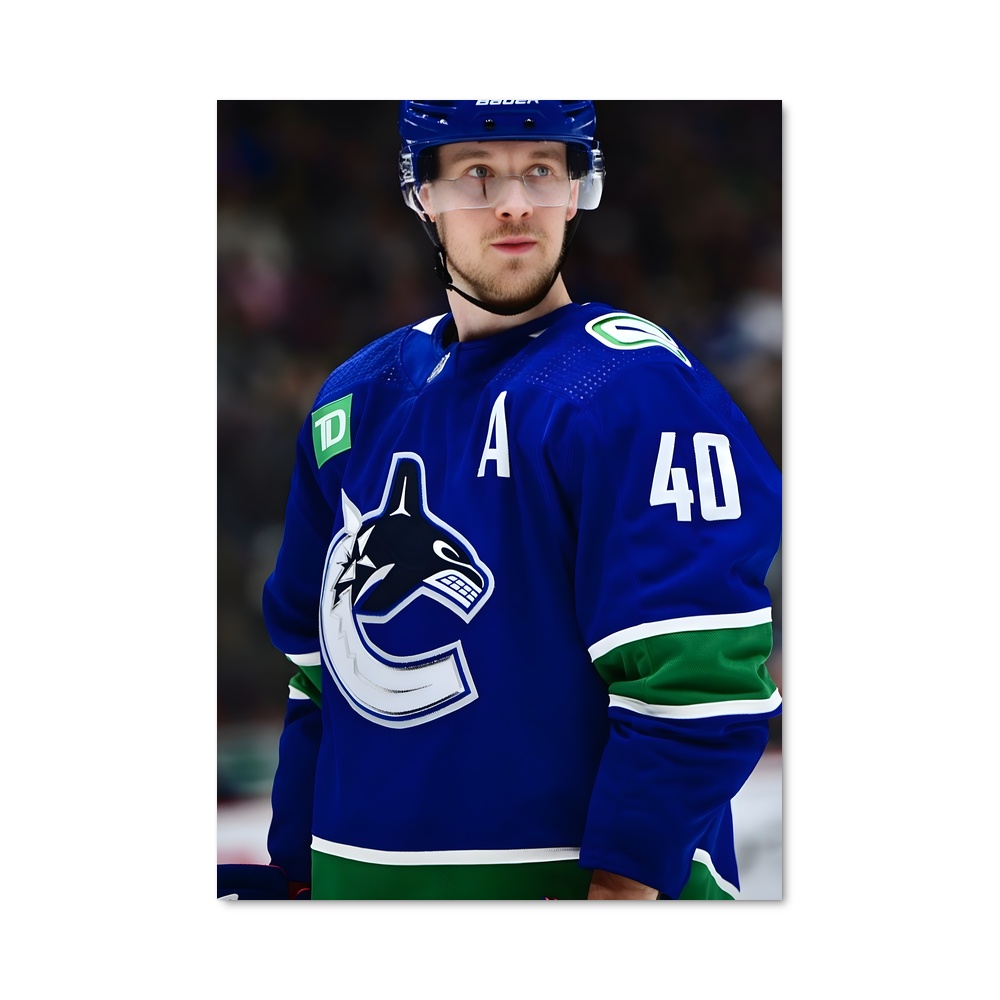 Poster Élan sur Glace